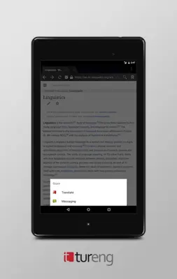 Tureng Dictionary android App screenshot 11